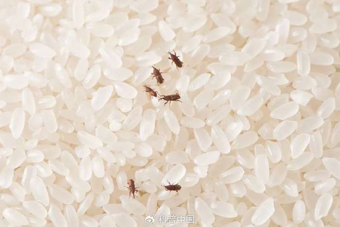 图库版权图片，转载使用可能引发版权纠纷