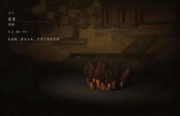 游戏中的道具葛蕈，配图为羊肚菌