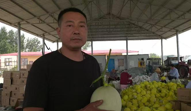 图为荆隆宫镇黄河滩区的万坤蜜瓜种植基地负责人张万坤在展示他刚采摘下来的甜瓜。杨恒战摄