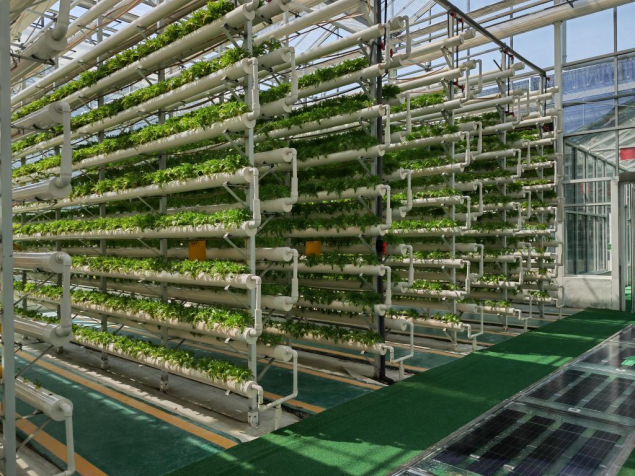 在山东省兰陵县智慧农业产业园的农业科技馆园区，过道上铺设着整齐的光伏板