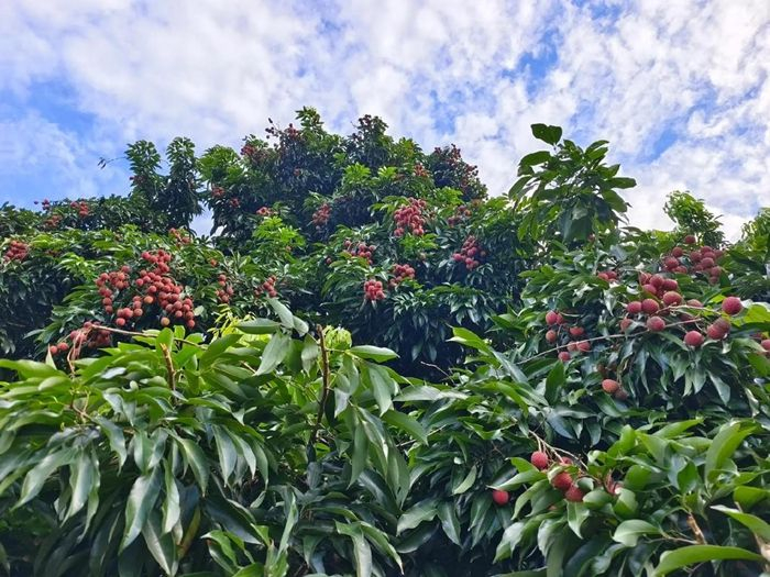 （图片来源于网络）