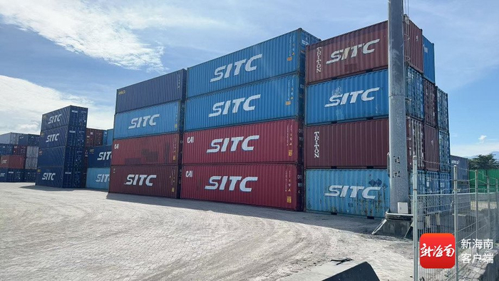 “印尼——海南”毛椰子海运直航物流通道实现常态化运营。受访者供图