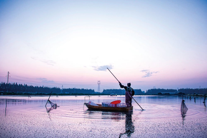  在湖北潜江后湖农场天新场分场，虾农捕捞小龙虾。新华社记者伍志尊摄