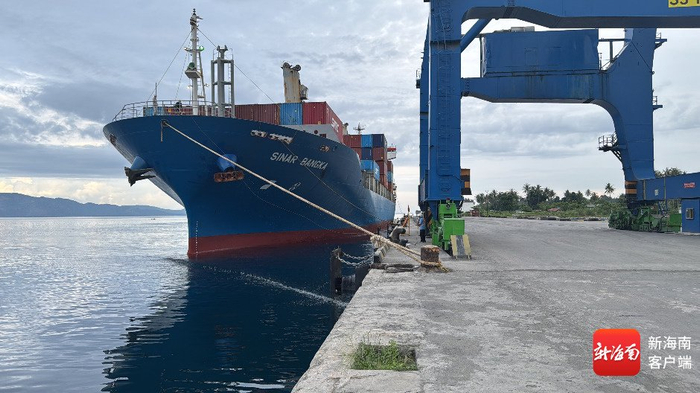 “印尼——海南”毛椰子海运直航物流通道实现常态化运营。受访者供图