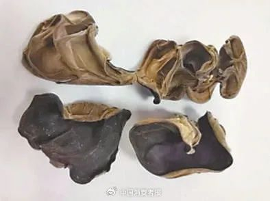 正常木耳（干品）