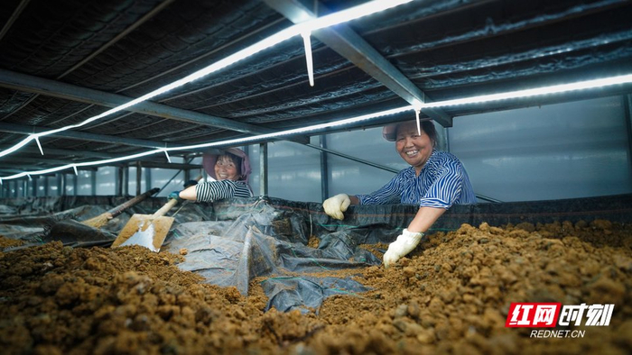 从站着看、跟着干到自己干，村民们成了技术骨干。