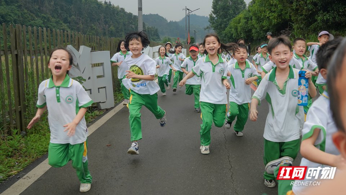 来陶野小镇研学的孩子们。