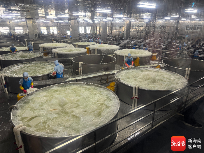 椰子加工厂。记者 郑光平 摄