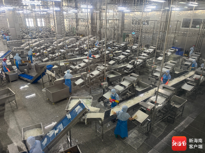 椰子加工厂。记者 郑光平 摄