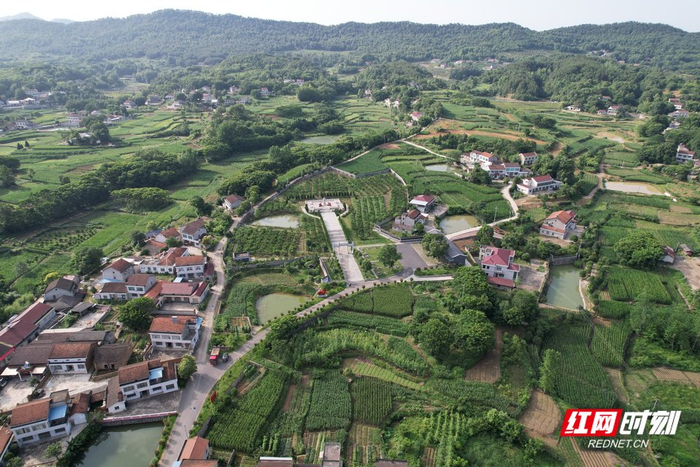 常德市澧县古北村俯拍图。