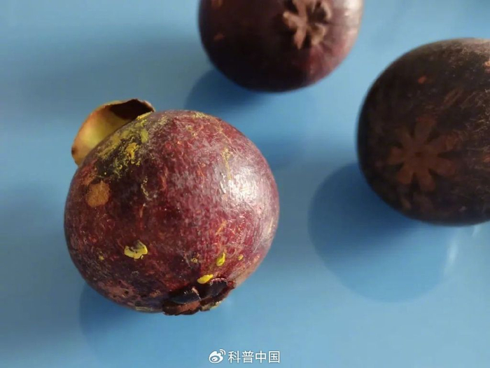 图：自己拍的