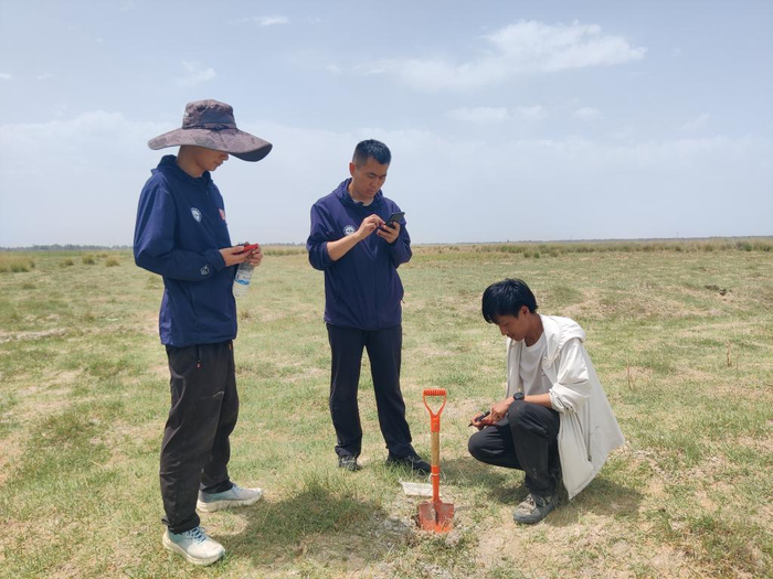 　　地质工作人员在牧草区进行样品采集。新华社发