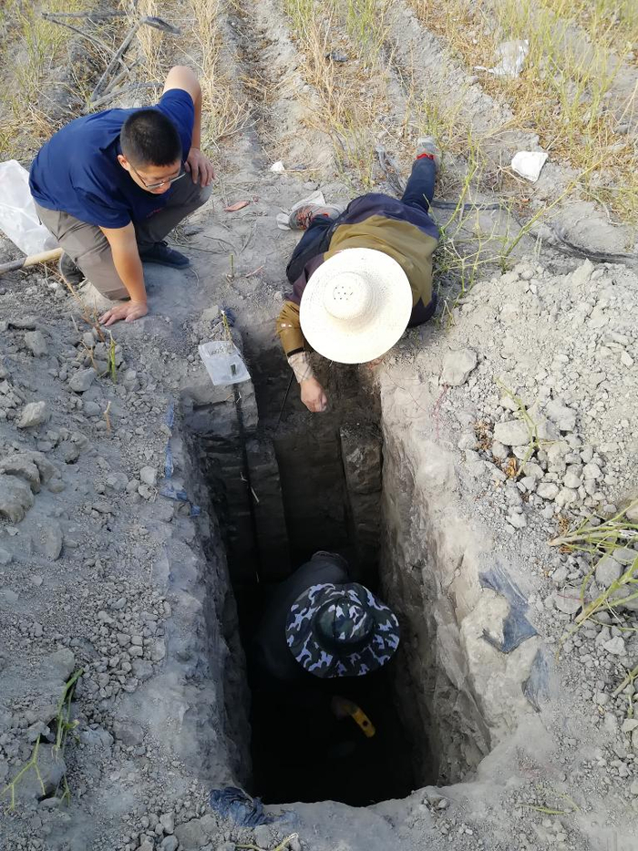 　　地质工作人员在进行富硒土壤剖面调查。新华社发