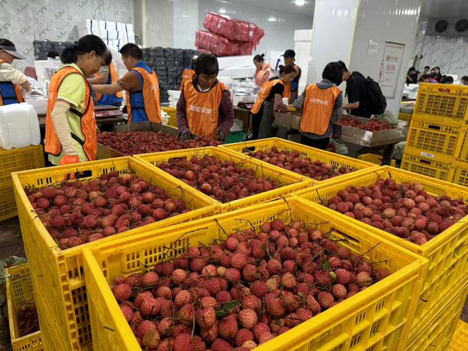  时代周报记者摄