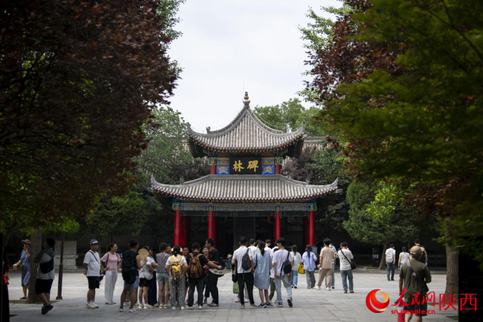 西安碑林博物馆。人民网记者翁奇羽摄