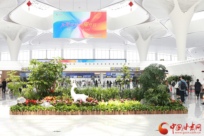绿意盎然的候机大厅。 张斌 摄