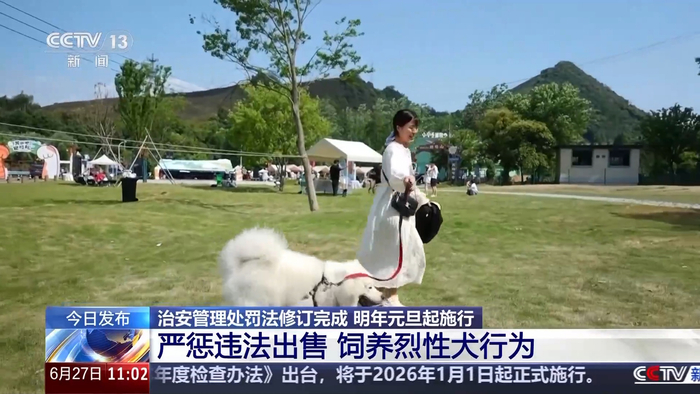 图片来源：央视新闻