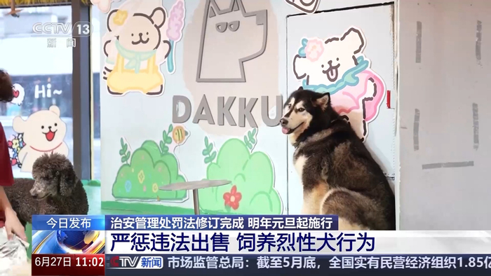 图片来源：央视新闻