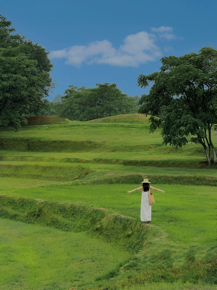 市民在盘龙城国家考古公园打卡拍照。刘天枝供图