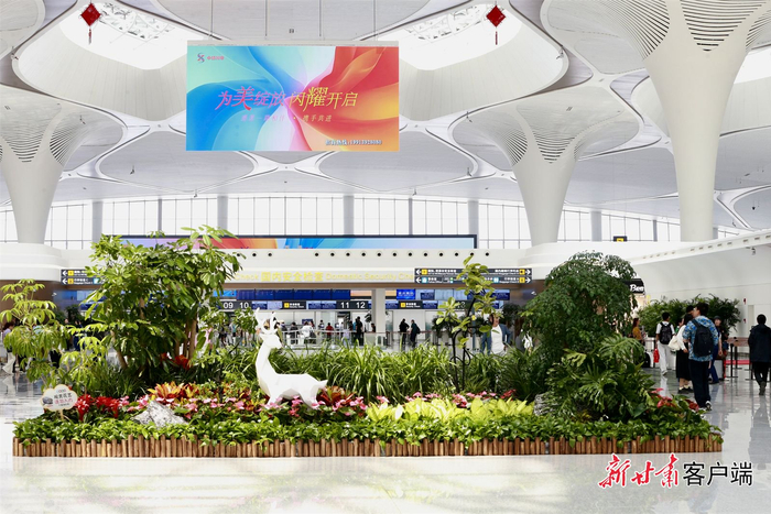 绿意盎然的候机大厅。张斌摄