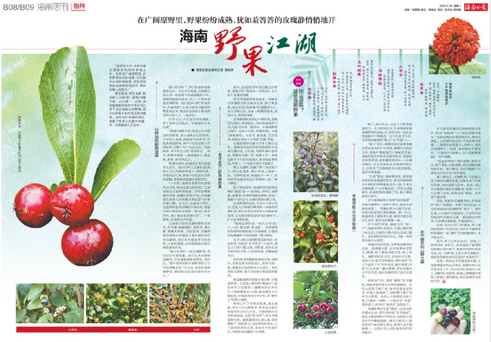 《海南日报》（2025年6月30日B08/B09版版面图）