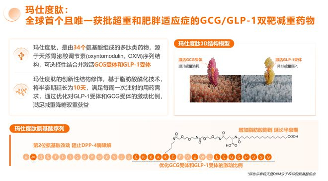  玛仕度肽注射液机制介绍  图片来源：信达生物