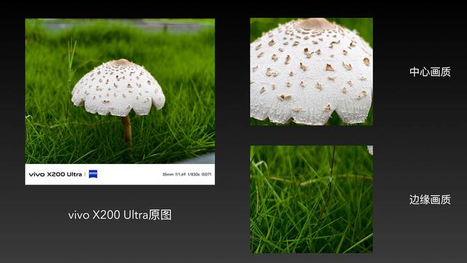 （图片来源：雷科技摄制）