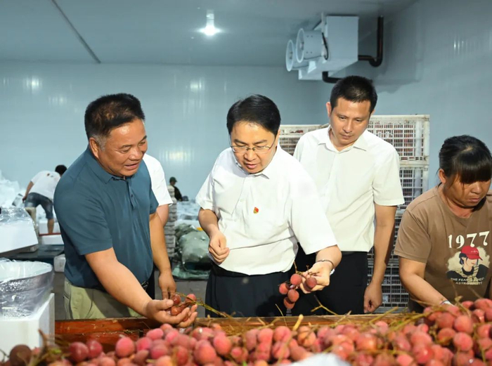 李玉成（左二）到浦北县白石水镇双良特色农产品集配中心，调研荔枝产销工作情况。融媒体记者  夏玮蔓摄