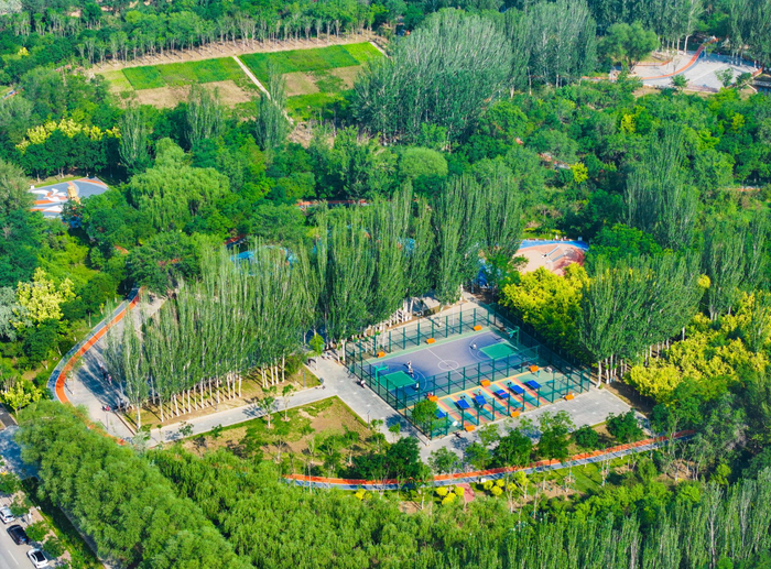 绿植掩映中，市民们在公共运动场地上晨练。