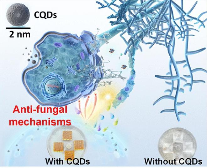 （来源：ACS Nano）
