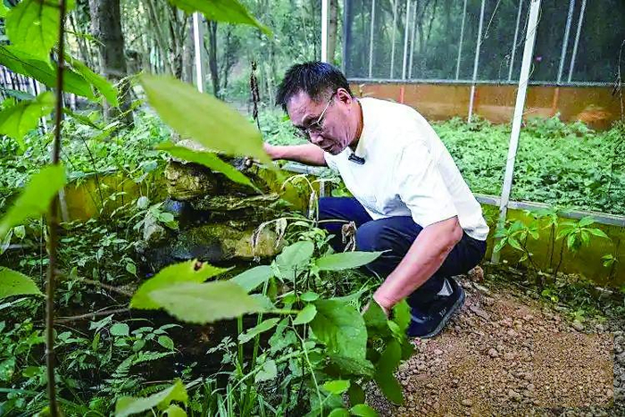     “萤火谷”文创农场
