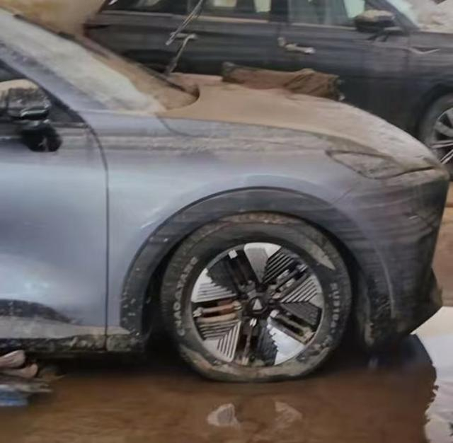 胡雨泡在泥浆里的20多台新车。 受访者供图