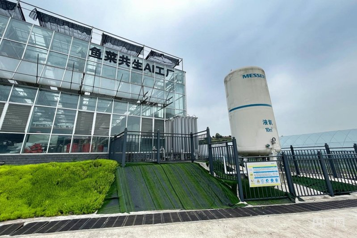重庆市农业科学院鱼菜共生AI工厂（央广网记者  陈静  摄）