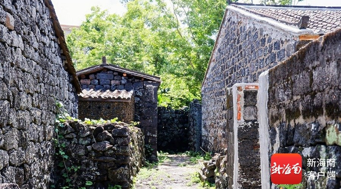 三卿村火山石屋。记者 丁文文 摄