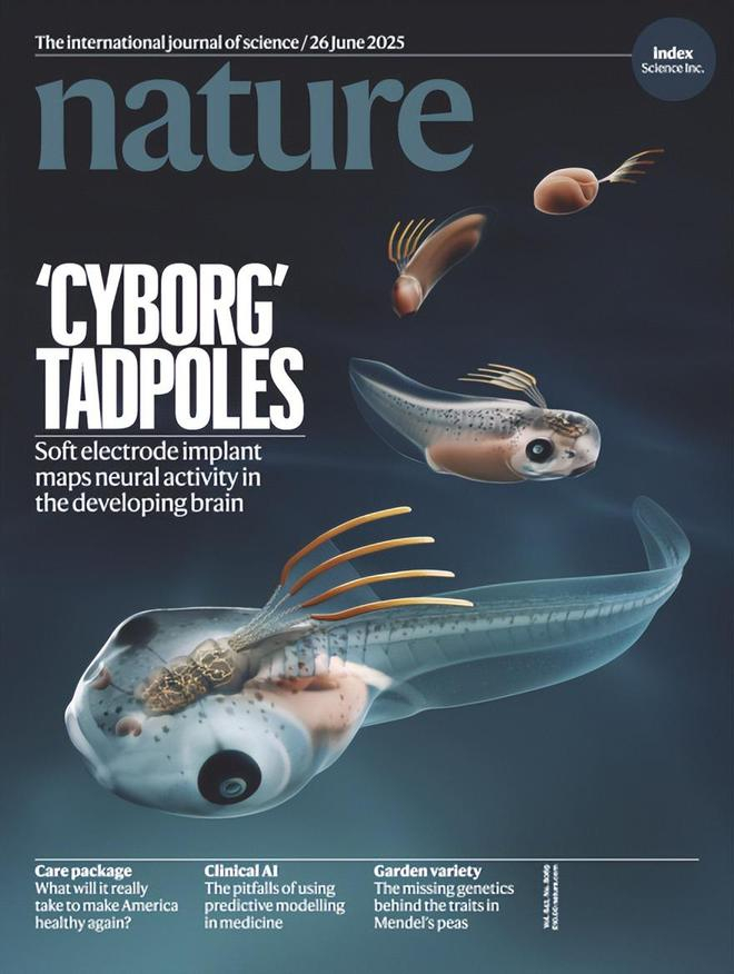 图 | 相关论文登上 Nature 封面（来源：Nature）