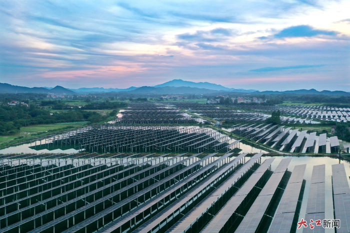 大江新闻-视觉江西  陈旗海  摄