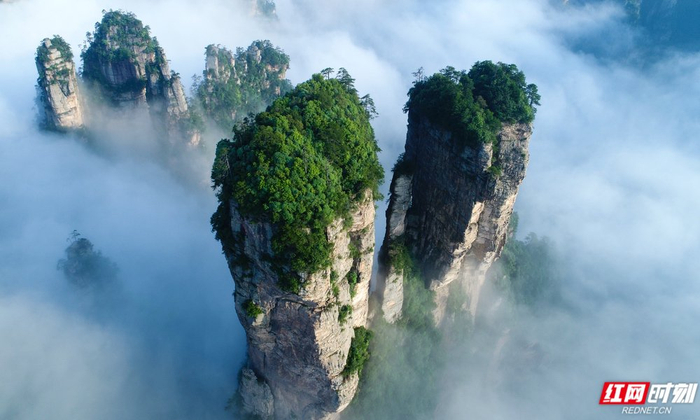 张家界国家森林公园的云海。