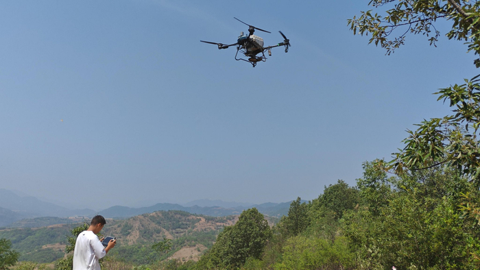 飞播造林作业现场。