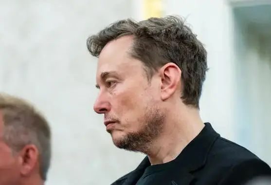 美国企业家埃隆·马斯克（资料图）