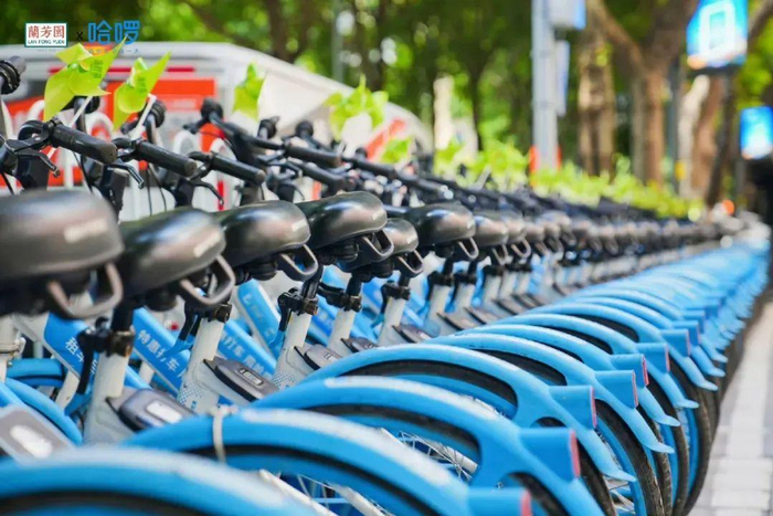 图源哈啰官方微博