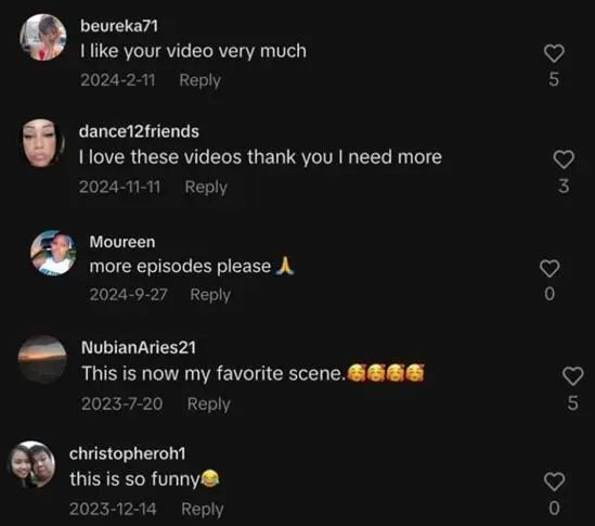 外国网友的评论  图片来源：TikTok网页截图