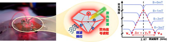 连续波-光探测磁共振法示意图