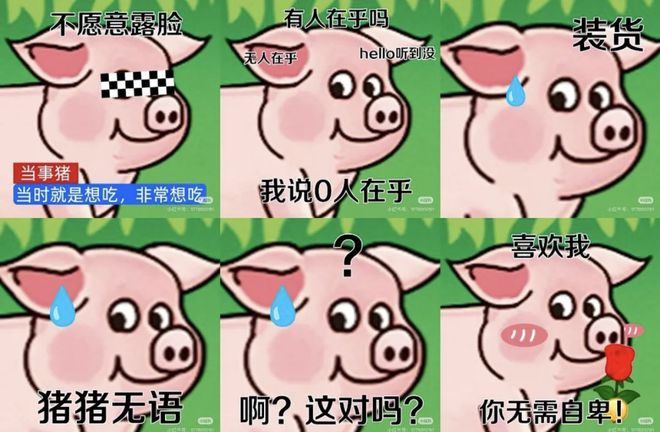  火腿肠猪（图片来源：小红书）