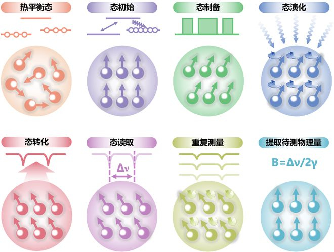 量子精密测量基本步骤示意图