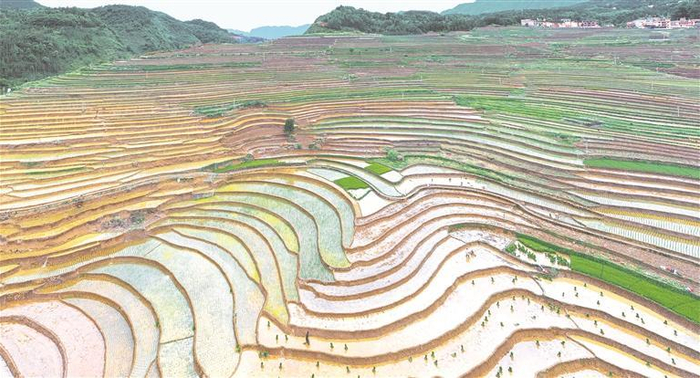 盘州市新民镇万亩梯田。 邓永长 摄