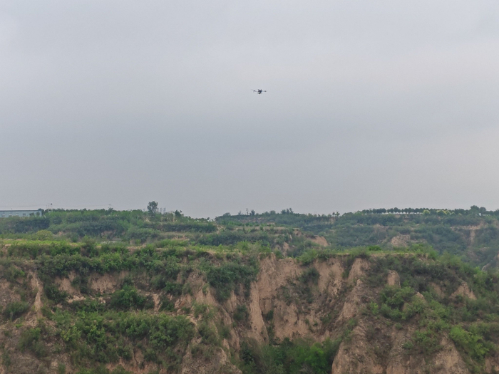 邙岭飞播造林作业现场。