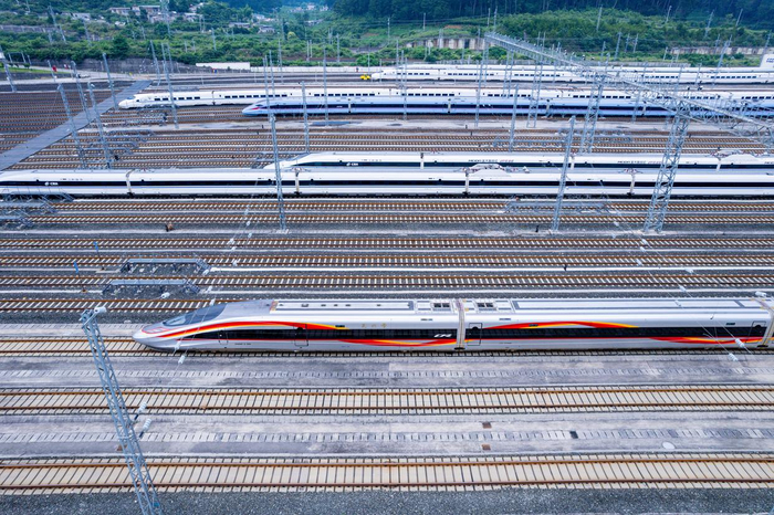 图片：张维 杨杰文 廖佳