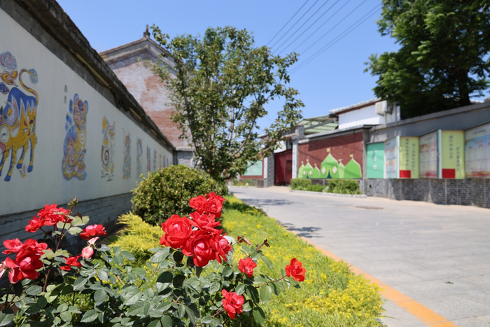 仙人洞村村容村貌。受访者供图