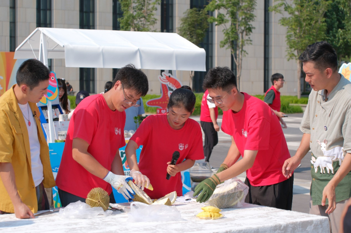 海南三亚优旗榴莲科技小院的同学们正在介绍国产树上自然成熟的榴莲。 王心悦|摄