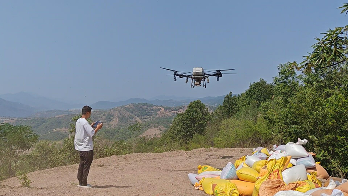 飞播造林作业现场。